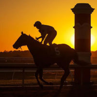 a race horse running at sunset